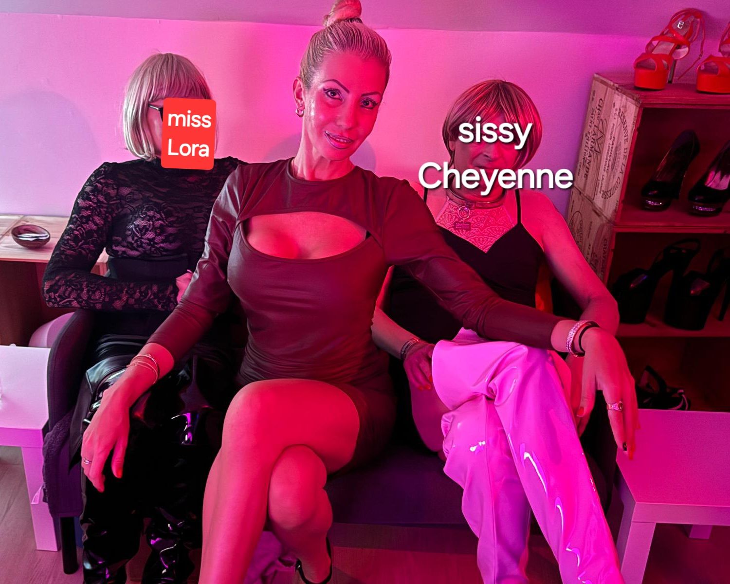 Tgirls Party Belgique